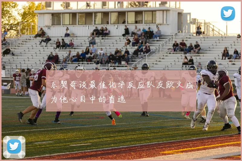 东契奇谈最佳化学反应队友欧文成为他心目中的首选