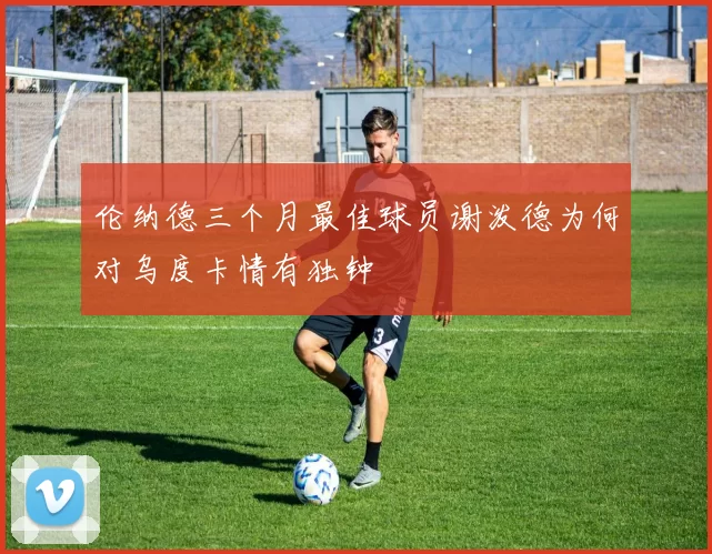 伦纳德三个月最佳球员谢泼德为何对乌度卡情有独钟