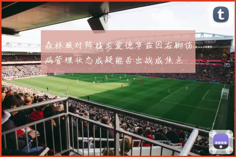森林狼对阵猛龙爱德华兹因右脚伤病管理状态成疑能否出战成焦点