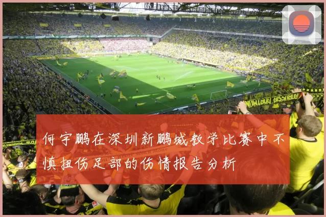 何宇鹏在深圳新鹏城教学比赛中不慎扭伤足部的伤情报告分析